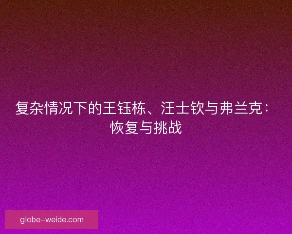 复杂情况下的王钰栋、汪士钦与弗兰克:恢复与挑战 复杂情况下的王钰栋、汪士钦与弗兰克:恢复与挑战